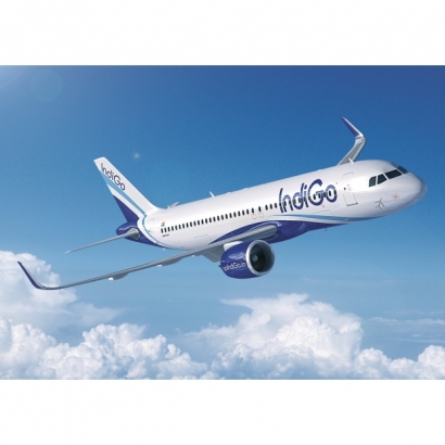 indigo1600.jpg